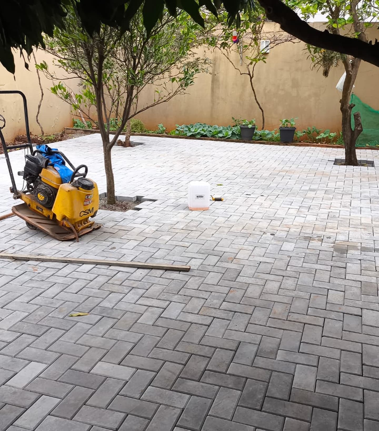Paver Liso